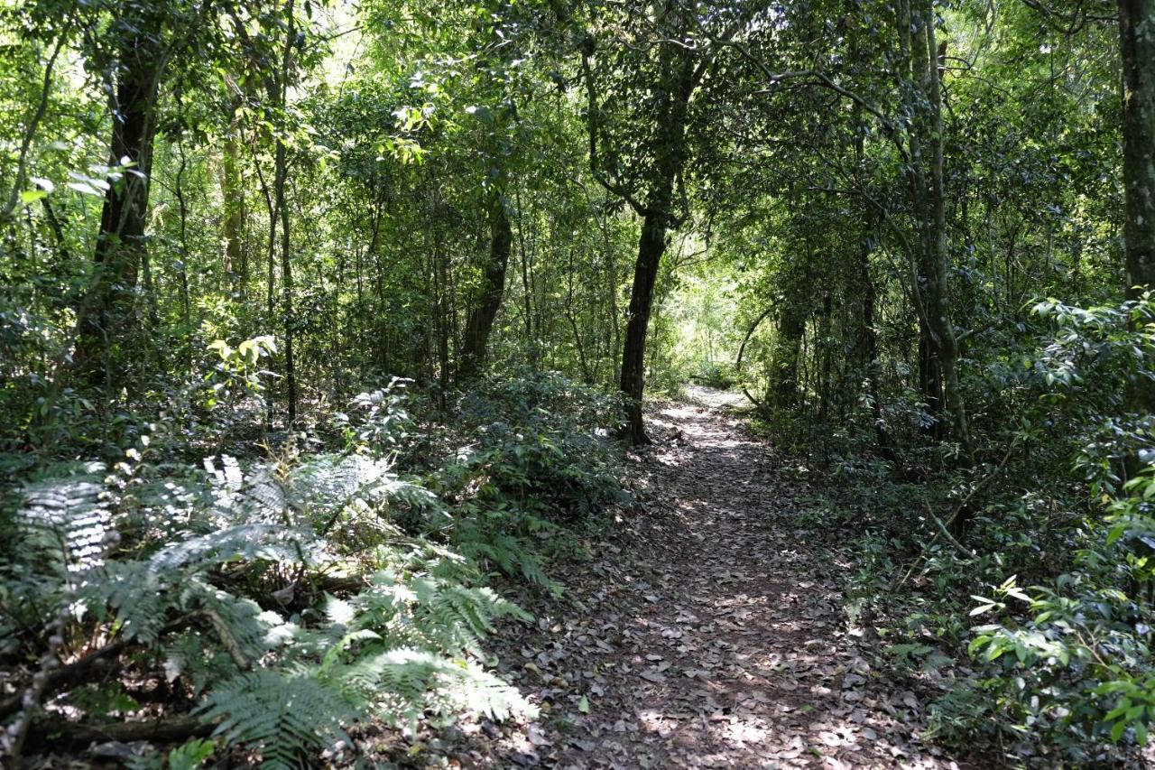 Reserva La Mision Mocona - Solo Adultos Saltos del Moconá Esterno foto