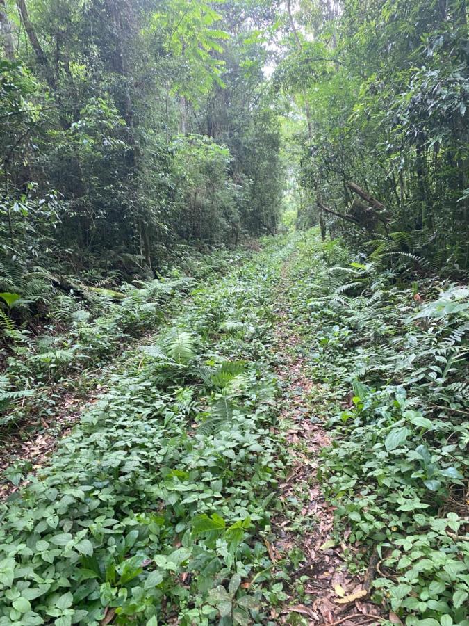 Reserva La Mision Mocona - Solo Adultos Saltos del Moconá Esterno foto