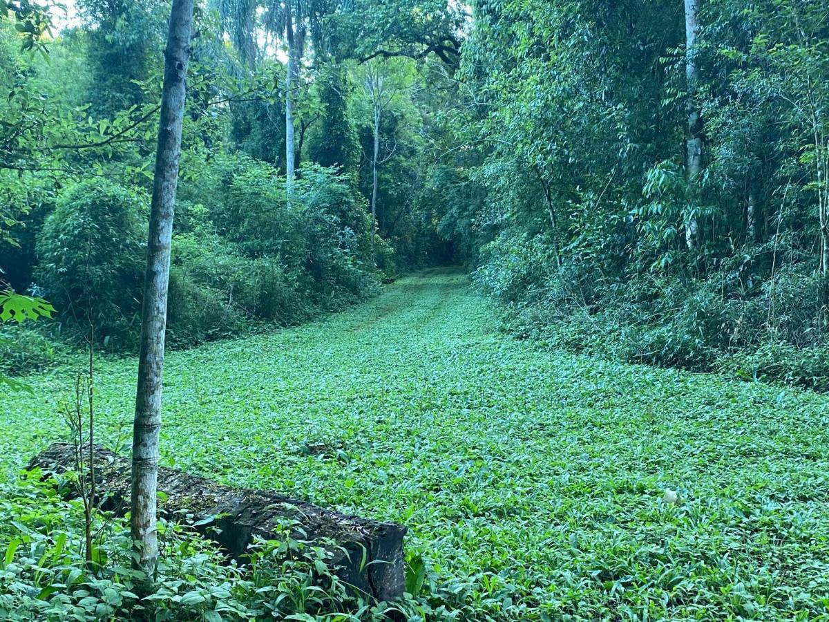 Reserva La Mision Mocona - Solo Adultos Saltos del Moconá Esterno foto